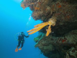 Roatan Reef shot on SeaLife underwater camera