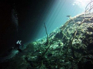 Cenote shot on SeaLife underwater camera