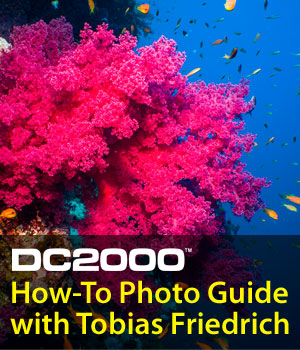SeaLife Underwater Photography Guide DC2000 Tobias Friedrich
