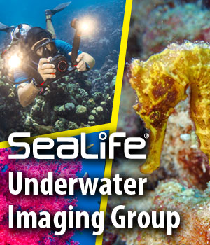 SeaLife underwater imaging group