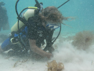 ocean diving photo backscatter sand