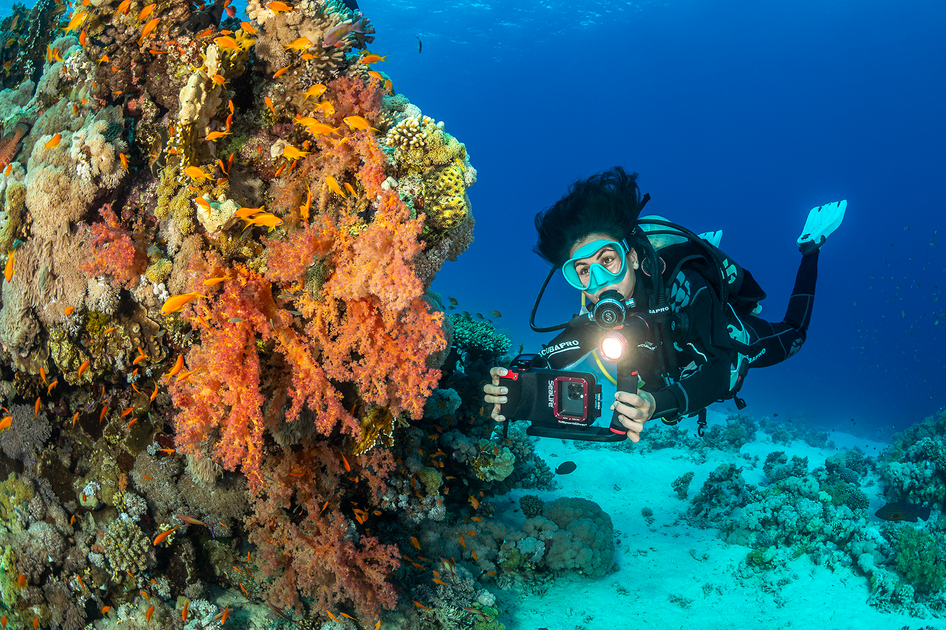 Silicone Big O Key Ring - Coral Reef
