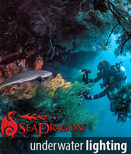 SeaLife Underwater Cameras  Best Underwater Digital Camera & Lighting