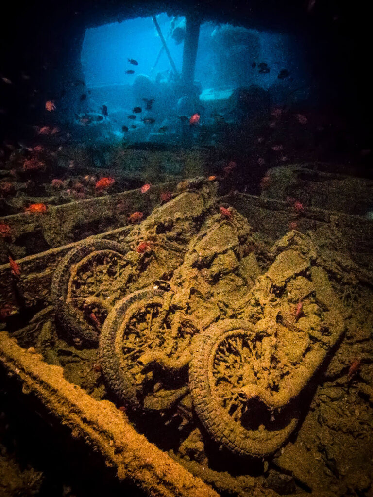 257-BELOW_SURFACE_TOBIAS_FRIEDRICH_20200503_MICR0254__1