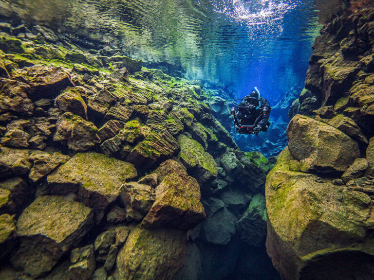 259_BELOW_SURFACE_TOBIAS_FRIEDRICH_20210206_MICR0702