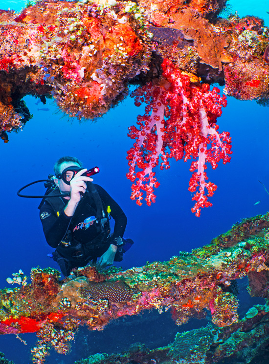 mini900_0000_Alex-Lindbloom_SeaLife-Dragon_P1444174-Edit-2