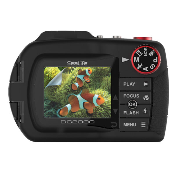 Sea Dragon Red-Fire Filter - Image 16