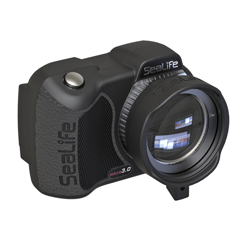 SeaLife Buoyancy Chart – SeaLife Cameras