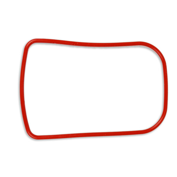 O-Ring for DC2000 - Image 2