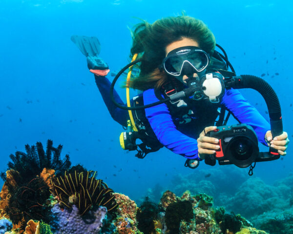 Sea Dragon Universal Flash Head - Image 19