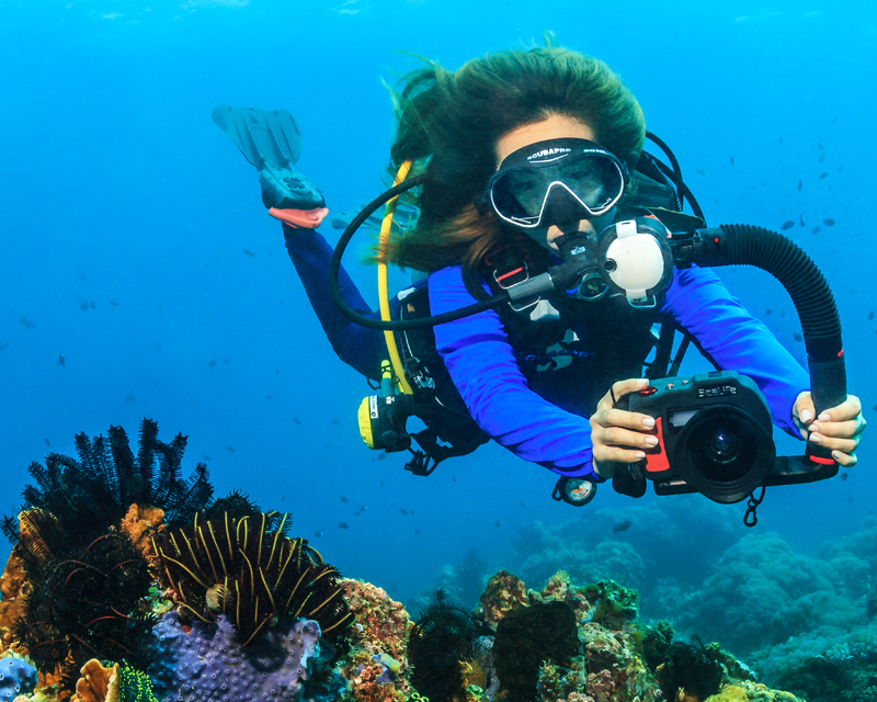 Sea Dragon Universal Flash Head - Image 19